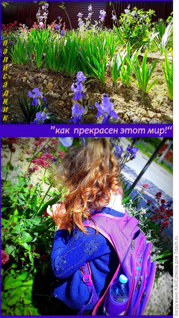 Мимо дома  проходят  дети- искренние  ценители  цветов!