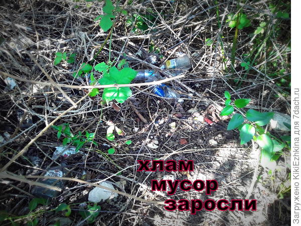 Фото  к  сожалению не передаёт всей  "прелести обстановки"  ;)