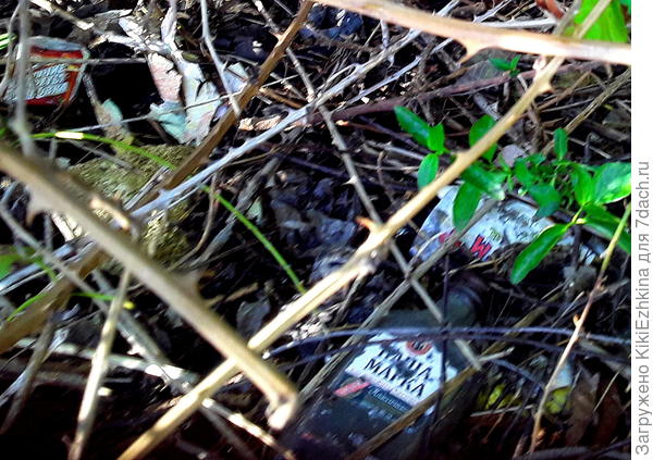 Хотелось бы  ликвидировать "сбор хлама"  под забором собственного дома!