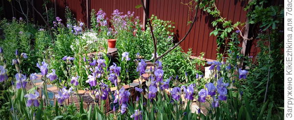 Середина мая прошлого лета...