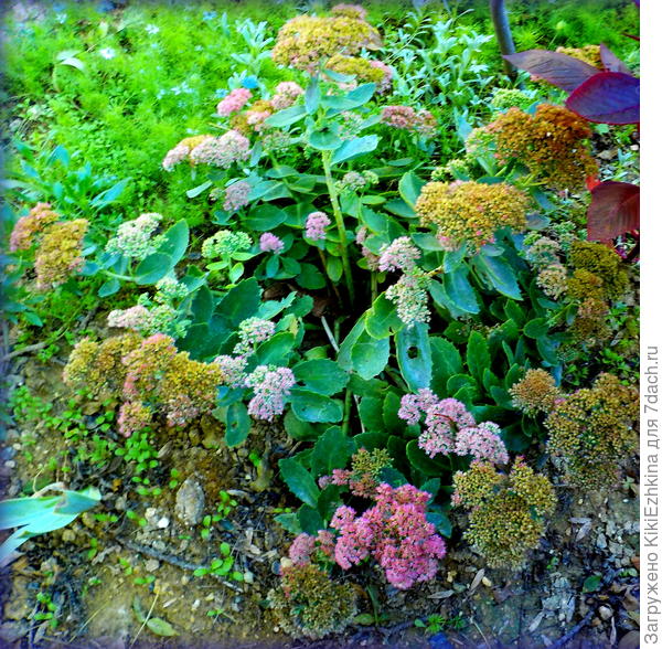 Этому везде хорошо: целый сезон весел и бодр!