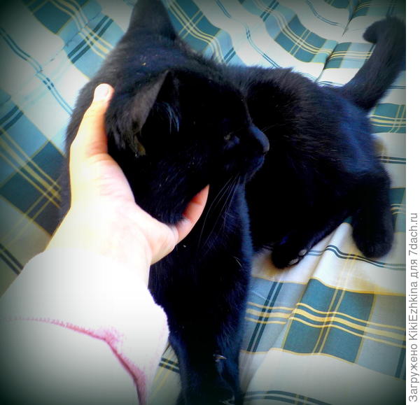 В любящих детских руках...