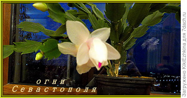 За окном заметно- город светится внизу...