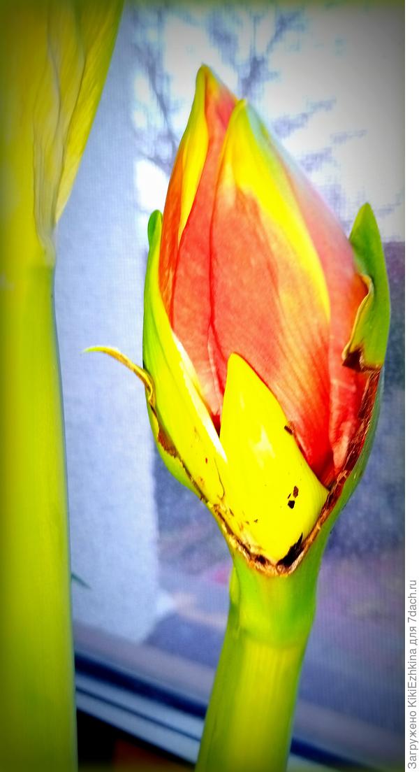 Хочет всегда быстрый готовый результат!