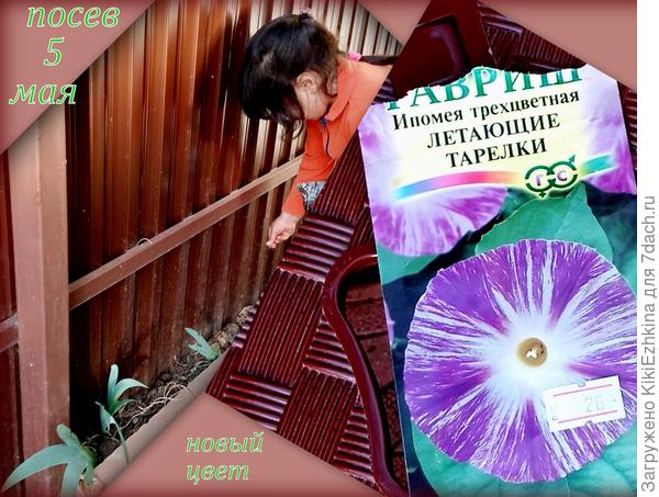 Посмотрим,  что вырастет и в  какие  сроки  зацветёт!