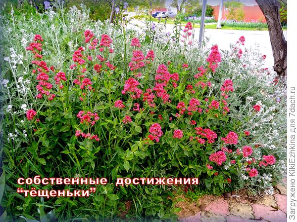 соревнование с  МАГАЗИНОМ  продолжается:)