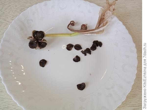 замочила- пока без движения...