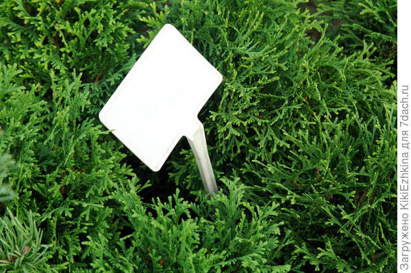 Это готовый  колышек- даже не представляю где купить и сколько стоит, а  конфигурация  ИДЕАЛЬНАЯ (имхо)