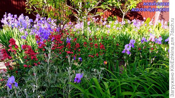 Жаль,что фотоаппарат не  передаёт точно цветовые оттенки!