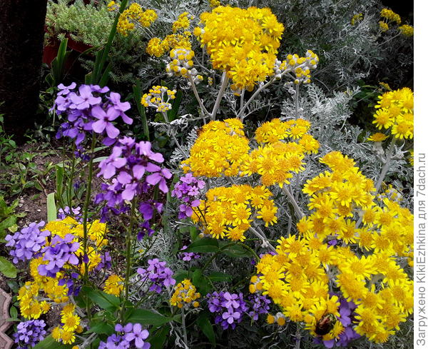 Под  нахмурившемся небом...