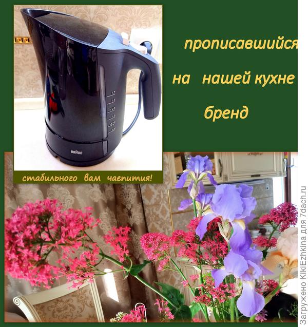 Ода  фирме браун: пластик не воняет, нагревается быстро...Удобная  и продуманная  конструкция чайника...