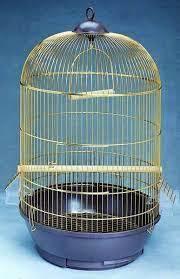 Форма  верха  подобная, а размер-  в зависимости от размера  вашего растения...