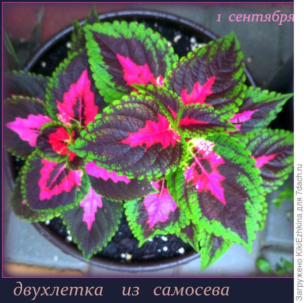 Сентябрь радует!