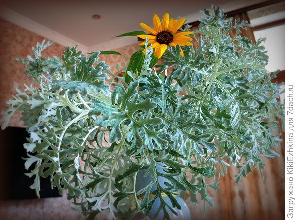 Вот как выглядит  осенний  букет  сезона 2023!