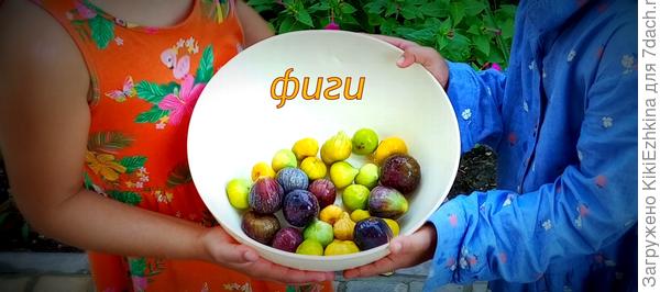 Дети  собрали  до чего сами смогли дотянуться...