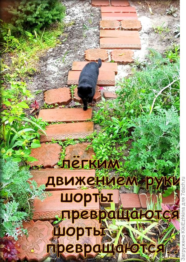 Наш Сэвук в  роли  Андрея Миронова-манекенщика...