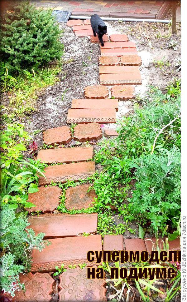 Сделала песчаную подсыпку и переложила плитку по дуге в стороне от кроны и вот после завершения решила снять результат и тут вижу: идёт фото-модель