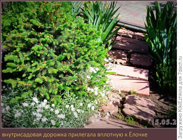 Изначально дорожка была проложена по прямой линии от угла тротуара до барбекю-уголка