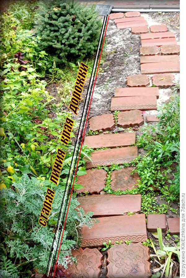 Чтобы не мешать спокойно расти  Ёлочке и самим об неё не царапаться- решила   крону ёлочки обогнуть...