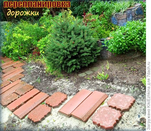 Новая  конфигурация  уголка вокруг ёлочки...