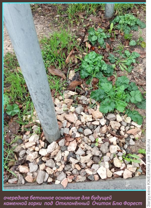 Будущая  горка с Очитками...