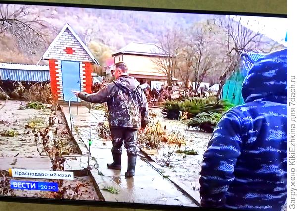 Правда же  Можжевельники  похожи? - да  и бетонная  дорожка - как госстандарт :)