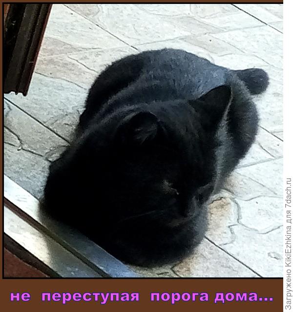 "...хоть вы меня в дом и не пускаете- всё-равно это  МОЙ ДОМ!"