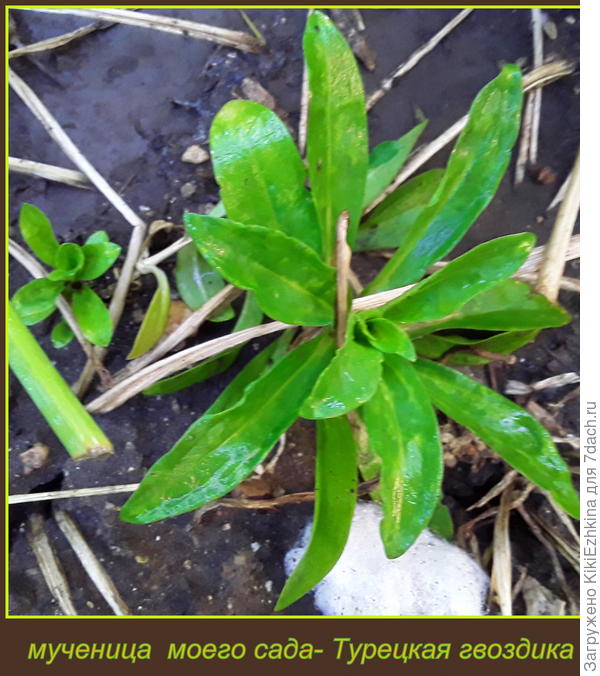 Середина июня позапрошлого сезона...