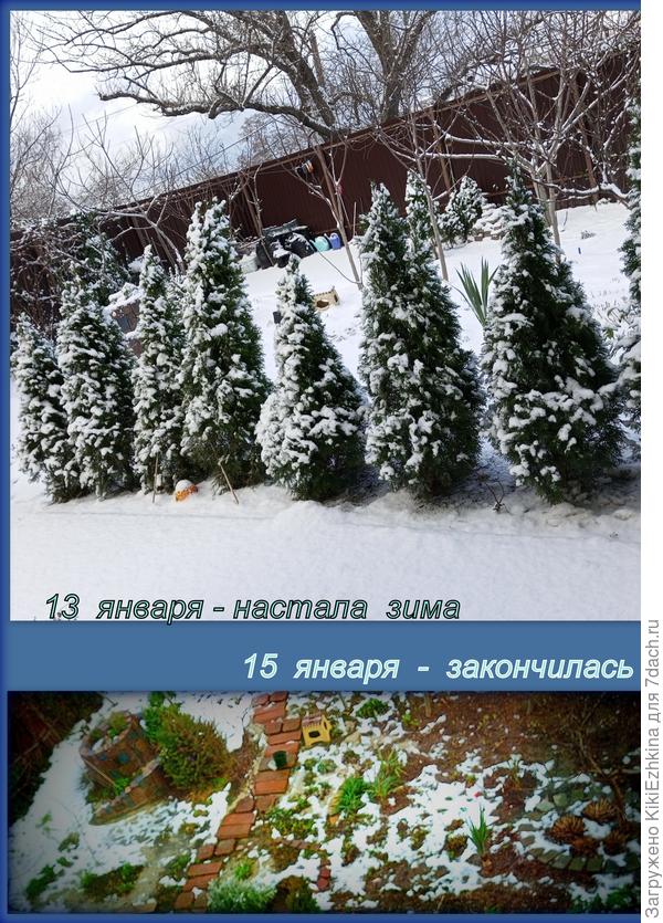 Нашу зимушку  самое главное - успеть заснять!