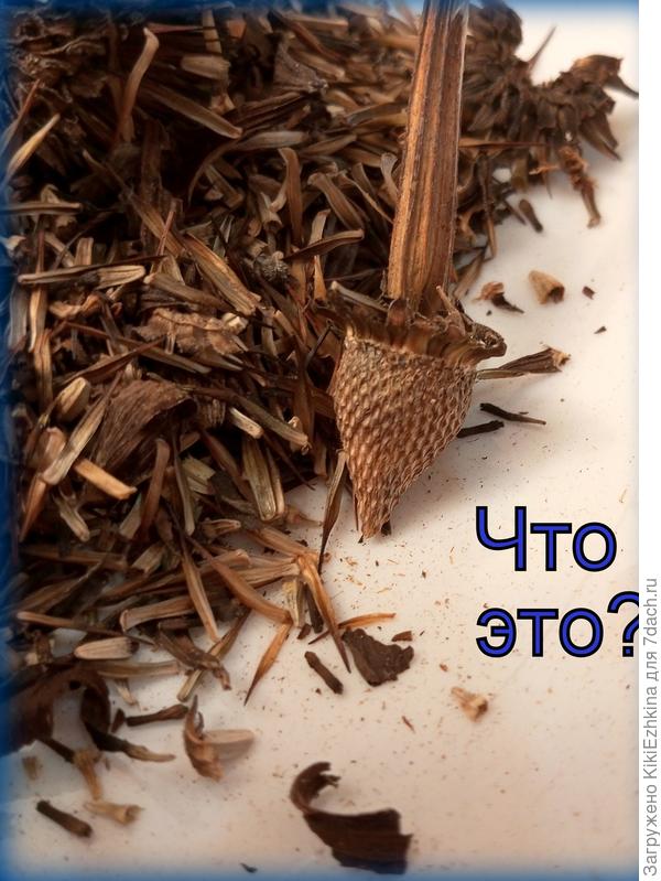 А не пришло ли время их сеять?