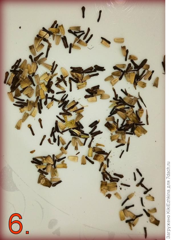 Тут  точно множество семян - "пулек"  и ещё  каких-то чёрных палочек... Что же это?