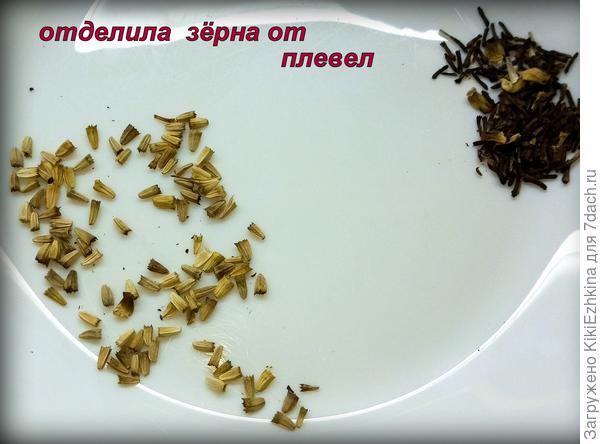 Наконец-то досконально провела выбраковку всего лишнего...