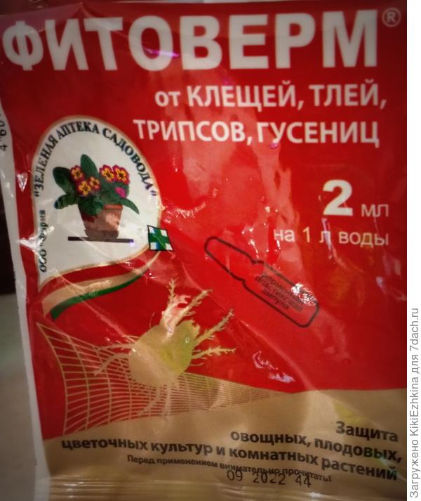 Как вы обычно вскрываете ампулу?