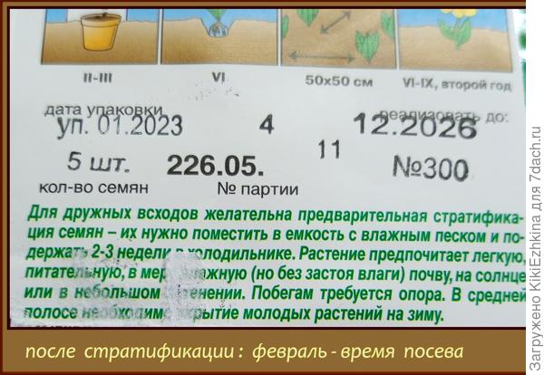 Ознакомилась с рекомендациями на упаковке...