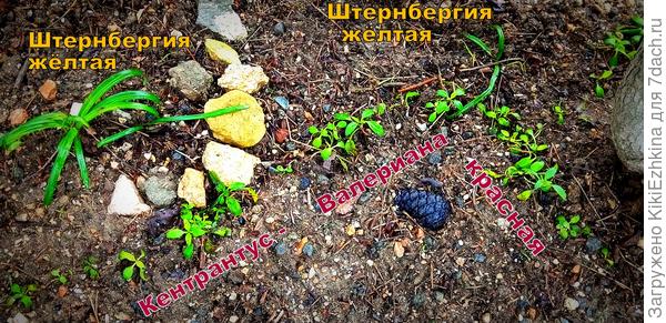 Вот  те  первопроходцы,которые  высажены на тот около-остановочный  пятачок...