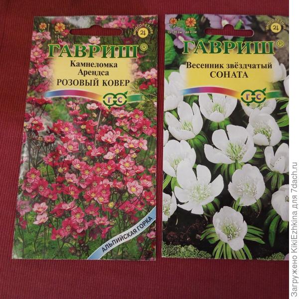 Теперь необходимо  всем этим цветочкам определить место на моей маленькой  клумбе