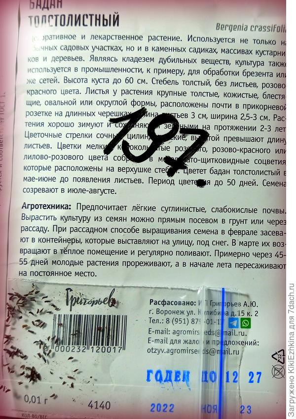 Рекомендации к  посеву Бадана!