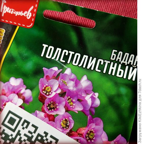 Прибыли   мои семена в  феврале! - а не осенью!