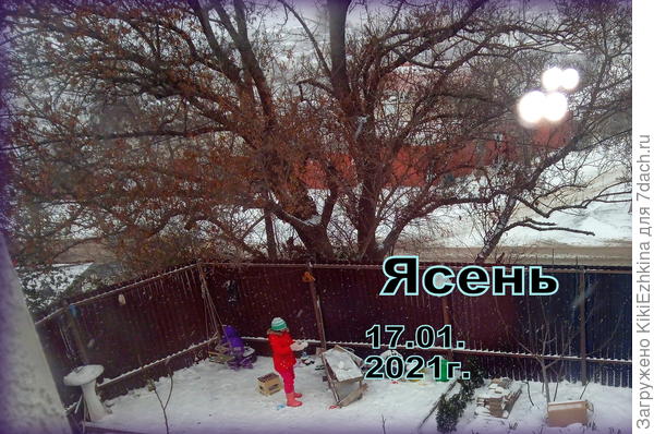 И как такое дерево  можно обработать?