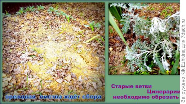 Палисадники  за  забором... Ждут приборки и  посевов...