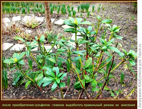 В данный  момент приходится действовать в режиме  &amp;quot;Пожарная  команда&amp;quot;, а   как перейти в нормальный режим?