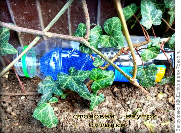 Насыпала &quot;Грозу&quot; , теперь размокать   приманка не будет...