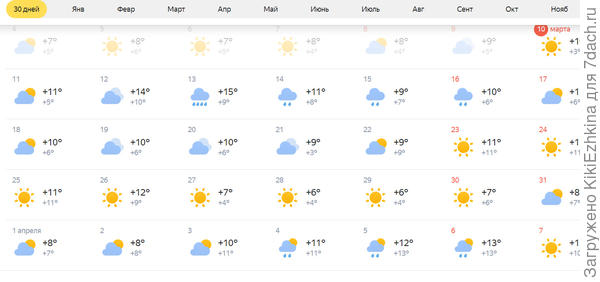 У меня  пока ничем не занятые  есть горшки, которые  стоят на улице- хотелось бы  прямо там  в них и насеять семена...