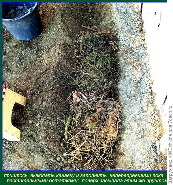 Частично уже начала высадку Лилейников  &amp;quot;Королева Мая&amp;quot;, если  цвести не бдут, по крайней  мере весь сезон- зелёная  ботва!