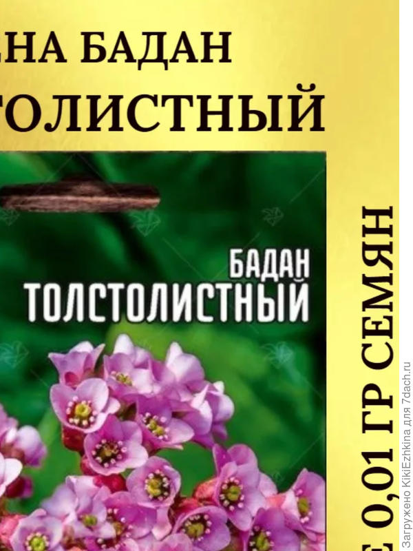 Вот такой  прислали и  пока что единственный  малюсик... Ещё  неизвестно вырастет ли что-то из него?