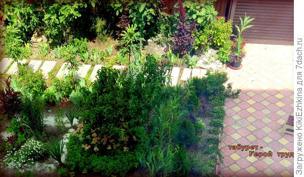 Вот он- мой  трон!  :)