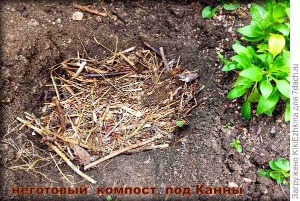 Компост как подкормка...