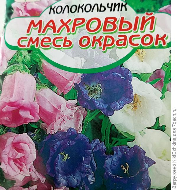 Семена  очень мелкие: видимо надо аккуратно посеять поверх грунта и сбрызнуть  после посева  пульверизатором...