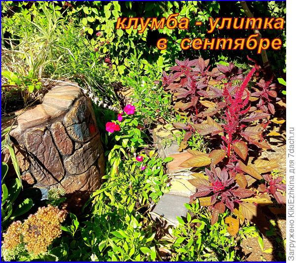 Улитка  построена, однако пока правильными растениями не заселена...