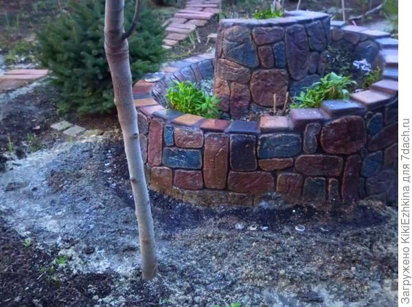 У  основания в этом году  посеяла Аллиум  -  пока всходов нет...